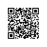 M55342K03B511APWS QRCode