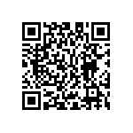 M55342K03B8B45RWS QRCode