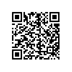 M55342K04B1E00PT0V QRCode