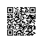 M55342K04B2B10RT5 QRCode