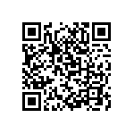 M55342K04B63E4RWSV QRCode