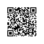 M55342K06B2B61RT5 QRCode