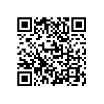 M55342K06B953ARWS QRCode