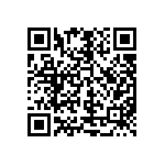 M55342K09B34D8RWSV QRCode