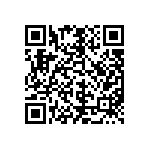 M55342K11B2E20RT5V QRCode