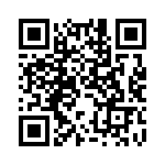 MAX543BEWE_1A3 QRCode