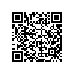 MKP385530063JPM4T0 QRCode