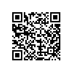 MKP385533063JPP2T0 QRCode