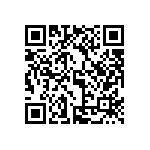 MP1-1Q-1Q-1Q-1P-1P-4NN-4EE-00 QRCode