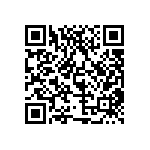 MP22T1-C24-4080-WWW-2-00 QRCode