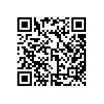 MP4-1Q-1Y-1Y-1Y-00 QRCode