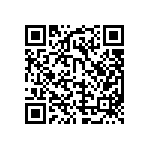 MP4-2Q1-1L1-4LQ4-01 QRCode