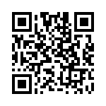 MS27466T13B22S QRCode