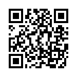 MS27467T17B6A QRCode