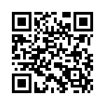 P0300EBLRP1 QRCode