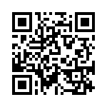 P295BL252M500A QRCode