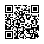 P31-E1006-1 QRCode