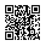 P4KE12-B QRCode