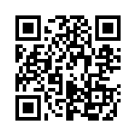 P4KE12 QRCode