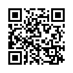 P4KE13 QRCode