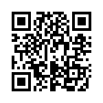 P4KE160 QRCode