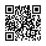 P4KE20A-B0G QRCode