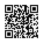 P4KE20A QRCode