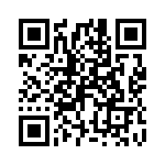 P4KE22C QRCode