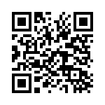 P4KE24CA QRCode