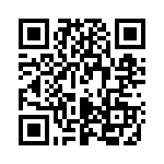 P4KE30C QRCode