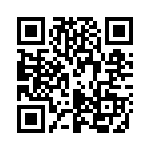 P4KE510-B QRCode