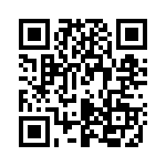 P4KE51A QRCode