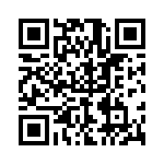 P4KE82 QRCode