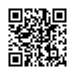 P4KE91A-B QRCode