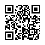 P4KE91CA QRCode