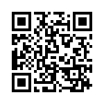 P522304 QRCode