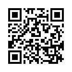 P6KE100A-G QRCode