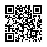 P6KE220C-B QRCode