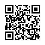 P6KE56 QRCode