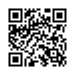 P6KE91 QRCode