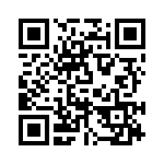 PE-53717 QRCode