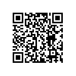 PE0805JRF7W0R033L QRCode