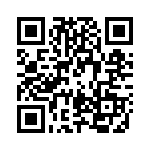 PLBR30400 QRCode