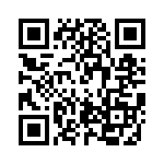 PPT0300GRR5VB QRCode