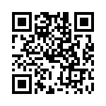 PPT0300GXX2VB QRCode