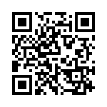 PQ5EV3 QRCode