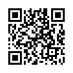 Q22P1CZZRYG12E QRCode