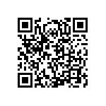 RCE5C2A1R0C0A2H03B QRCode