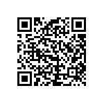 RCP1206B300RJEA QRCode