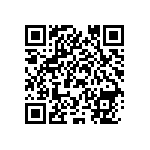 RCP1206B300RJEB QRCode
